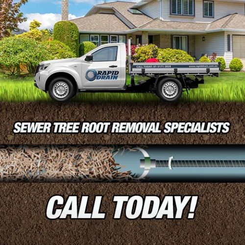 Sewer Tree Root Removal Specialists In Thorneside